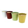 ZINC-SEAU ORCHIDEE COULEUR STRIEE Ø13 ASS. /1P