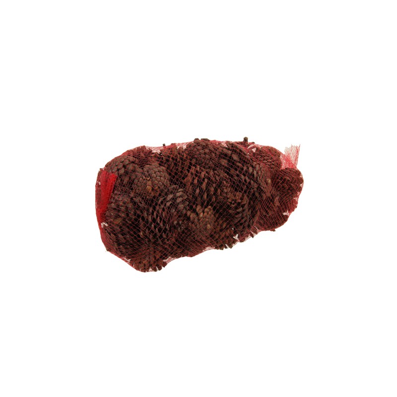 POMME DE PIN MIX 1KG
