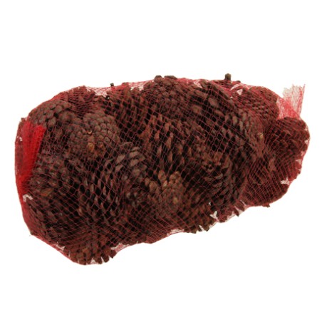 POMME DE PIN MIX 1KG