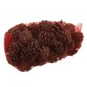 POMME DE PIN MIX 1KG