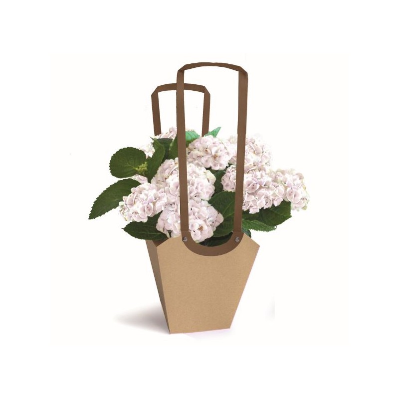 SAC AQUA POT SMALL/10P