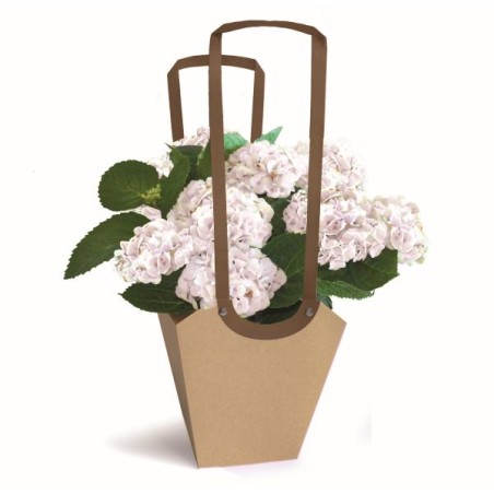 SAC AQUA POT SMALL/10P