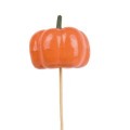 CITROUILLE 06CM SUR PIQUE H50CM /25P