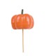 CITROUILLE 06CM SUR PIQUE H50CM /25P
