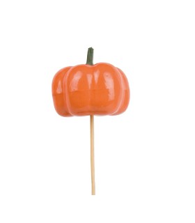 CITROUILLE 06CM SUR PIQUE H50CM /25P