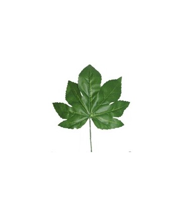 FEUILLE DE FATSIA H42CM /12P