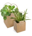 SAC EVIDENCE NATUREL XLARGE / 10P