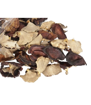 CHAMPIGNON OR les 250GR