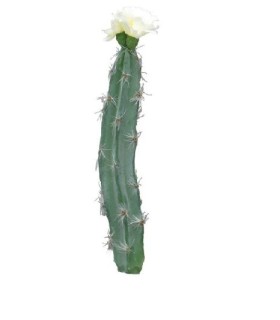 CACTUS FLEUR CREME H23CM à la pièce