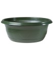 COUPE PLANTE MILLESIA 017 H8.5cm (carton 160P)