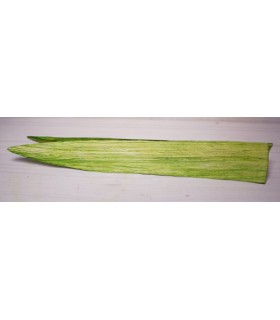 PETALE 'LILY" H25CM sac de 50 pièces