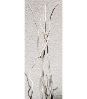 BRANCHE "KUWA" 120-180CM /10 à 12P