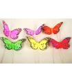 PAPILLON Diam.08CM BOITE 12P