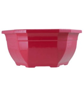 COUPE PLANTE OCEA 027cm (filet de 25P)