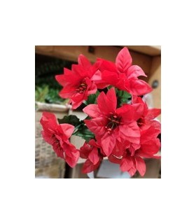 BOUQUET POINSETTIA 7 fleurs /24P