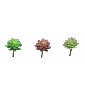 FLEUR SUCCULENT SEDUM 16CM à la pièce