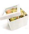 BOITE PANDORE FENETRE CARREE SET 2P
