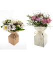 VASE CARTON IRIS H23CM les 20P