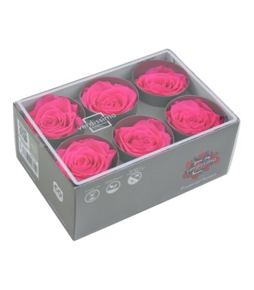 VERDISSIMO-ROSE Standard 6P