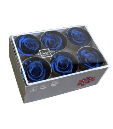 VERDISSIMO-ROSE Standard 6P
