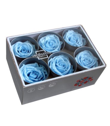 VERDISSIMO-ROSE Standard 6P