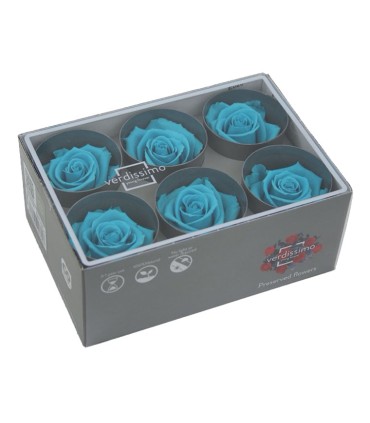 VERDISSIMO-ROSE Standard 6P