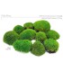 VERDISSIMO-MOUSSE BOULE VERTE VRAC / 2.5KG