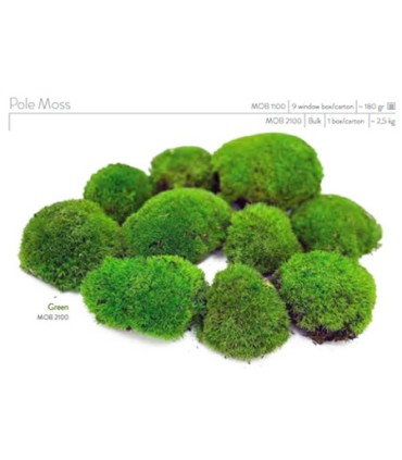 VERDISSIMO-MOUSSE BOULE VERTE VRAC / 2.5KG