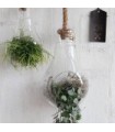 VERRE POIRE + CORDE H25CM /1P