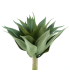 PLANTE AGAVE VERTE 52CM /1P