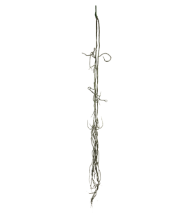 LIANE NOIRE 110CM à la pièce