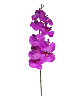 FLEUR PHALAENOPSIS BORA 108CM à la pièce