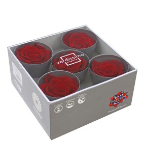 VERDISSIMO-ROSE Queen 5P