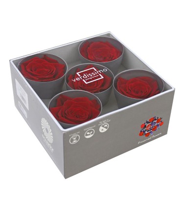 VERDISSIMO-ROSE Queen 5P