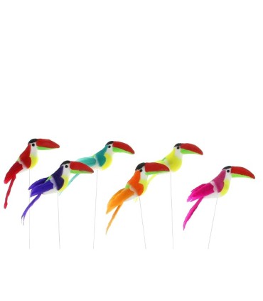 TOUCAN SUR PIQUE les 12P