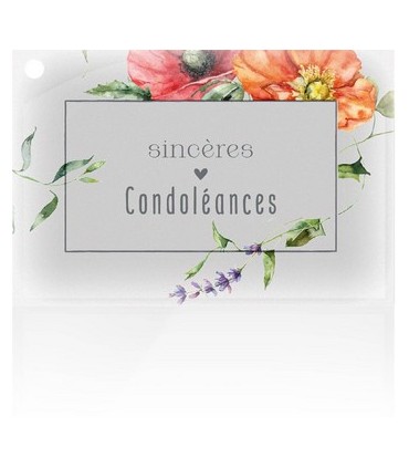 JESO CARTE "IMAGINE" les 10P