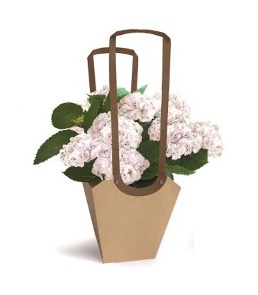 SAC AQUA POT MEDIUM /10P