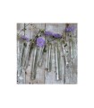 VERRE EPROUVETTE 02CM H12.5CM les 12P