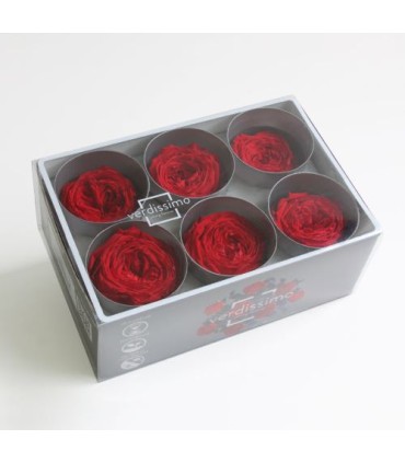 VERDISSIMO-ROSE Garden 6P