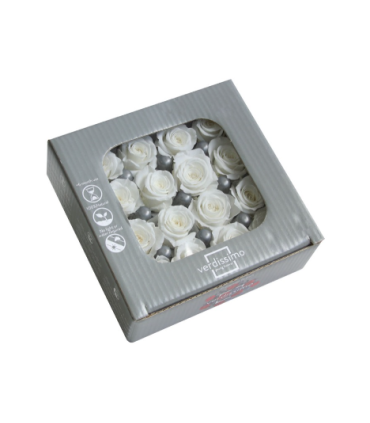 VERDISSIMO-ROSE Princesse 16P