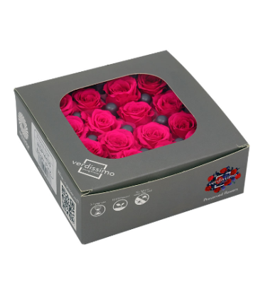 VERDISSIMO-ROSE Princesse 16P