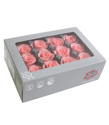 VERDISSIMO-ROSE mini 12P