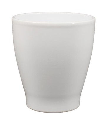 C.POT ORCHIDEE 013 H15CM /6P