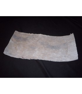 ECORCE DE BOULEAU 50X20CM couleur/5P