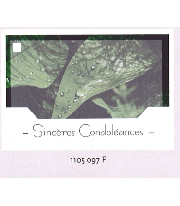 JESO CARTE "SILENZIO" / 10P