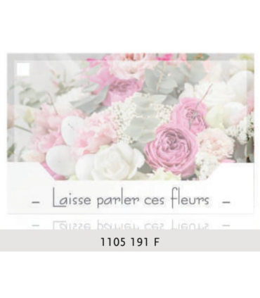 JESO CARTE "SILENZIO" / 10P