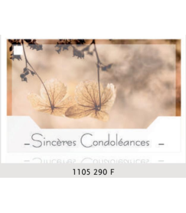 JESO CARTE "SILENZIO" / 10P