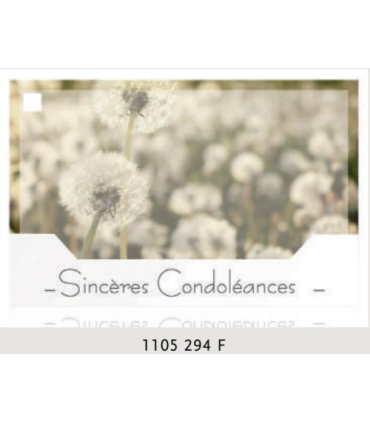 JESO CARTE "SILENZIO" / 10P