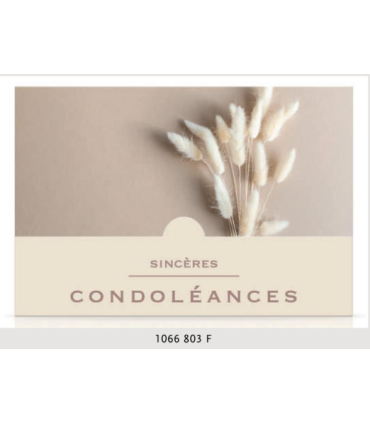 JESO CARTE "PENSIERO" / 10 PIECES