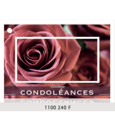 JESO CARTE "BRILLANTE"+ENVELOPPE/ 10P